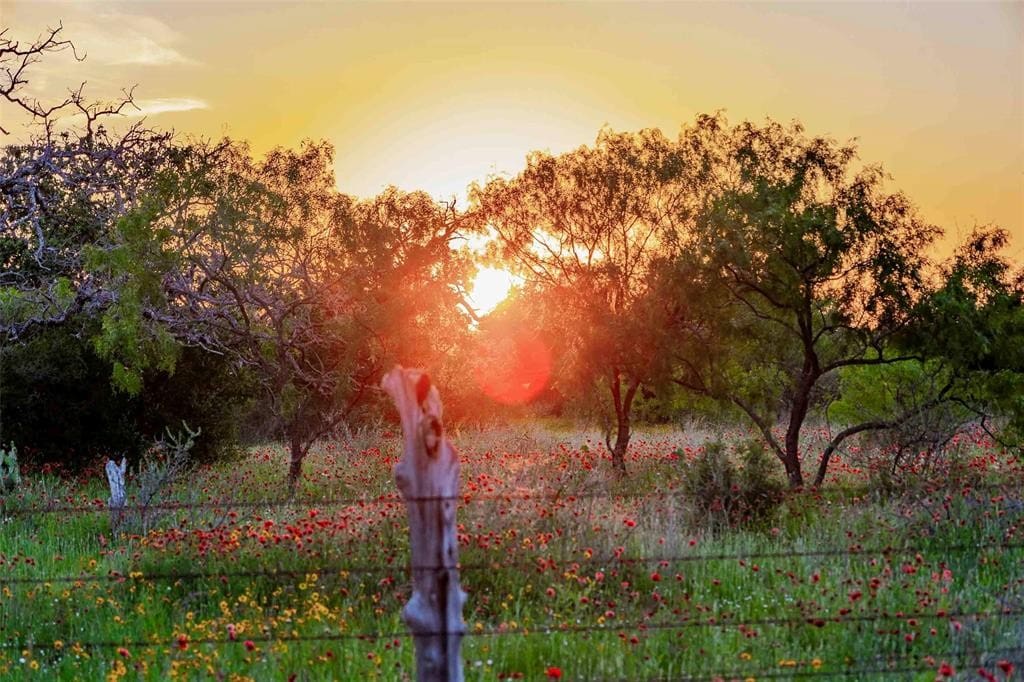 Texas land listing by Jan Gunter featuring open fields and a sturdy fence. Sell land with expert guidance from KW Land® agents and explore listings on KWLand.com.