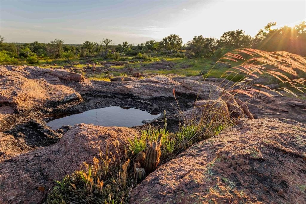 Picturesque land featuring trees and natural surroundings. Get expert advice on how to sell land with KW Land® agents for a smooth, successful transaction.