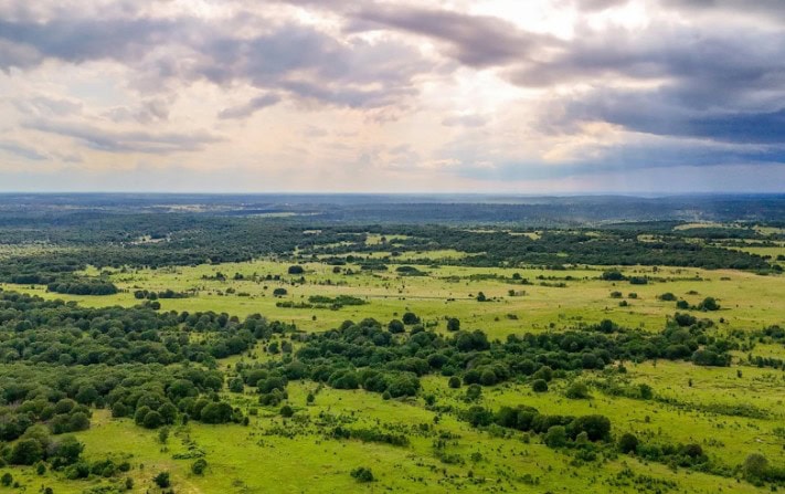 Expansive aerial view of rural land with trees and open fields, representing the types of properties available when buying land with a KW Land® agent.